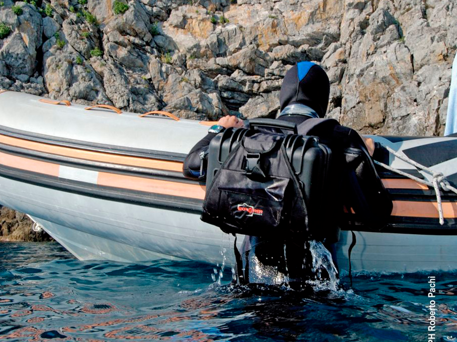 PLASTIC CASES ACCESSORY Handles and strap to convert an M suitcase into backpack