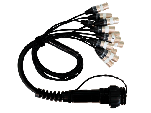 Multi-Pair Cable LK37 Female - 12x XLR Male