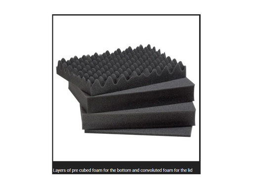 PLASTIC CASES FOAM For Case 3317W
