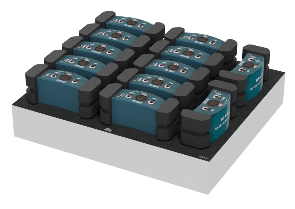 SANTOSOM   Mousse Modulaire 1U, 12x BSS AR-133