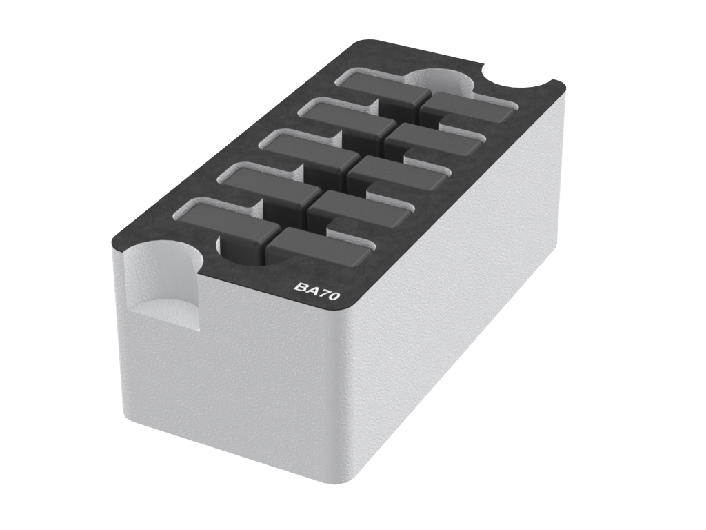 SANTOSOM Foam Insert, 10x BA 70