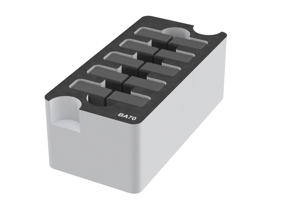 SANTOSOM Foam Insert, 10x BA 70