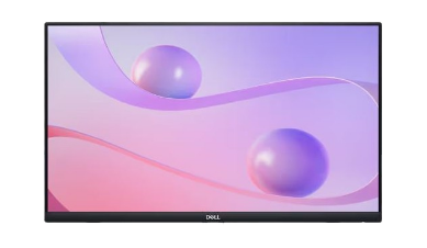 Dell 24 Touch Monitor P2424HT